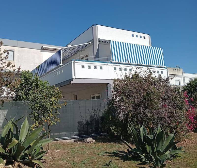 La Maison De Monique Policoro Dış mekan fotoğraf